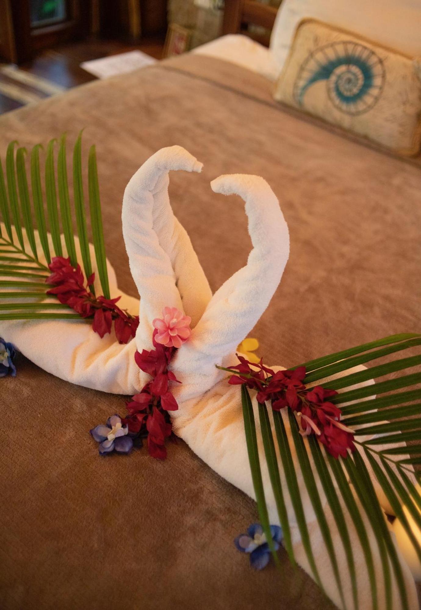 Ocho Artisan Bungalows (Adults Only) Tamarindo Zewnętrze zdjęcie